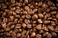 Motores elétricos auxiliam na alta produção de café e economia do setor