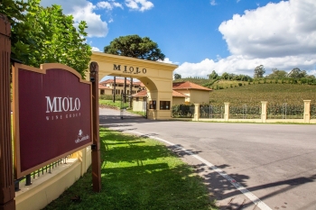 Miolo Anoitecer chega para mudar a forma de viver o Vale dos Vinhedos