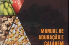 Pesquisas da Epagri com adubação e nutrição de cebola são referências para o Brasil