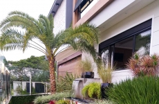 Lenz Studio de Paisagismo: escritório de Arquitetura especializado em projetos de paisagismo e arquitetura de exteriores