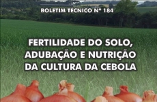Pesquisas da Epagri com adubação e nutrição de cebola são referências para o Brasil