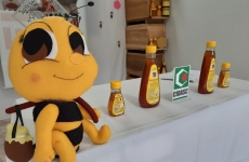 Apicultor de Presidente Getúlio é pioneiro no recebimento de Selo Arte