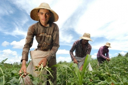 Número de trabalhadores no agronegócio  brasileiro bate recorde