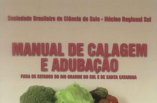 Pesquisas da Epagri com adubação e nutrição de cebola são referências para o Brasil