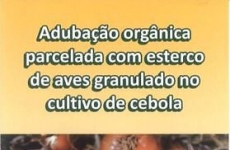 Pesquisas da Epagri com adubação e nutrição de cebola são referências para o Brasil